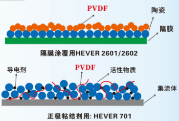 锂电级PVDF